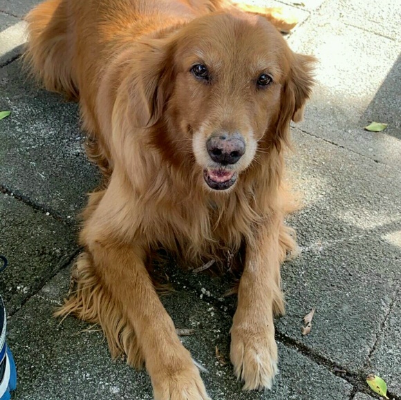 Meet your Posher, Andrew - Picture 1 of 1